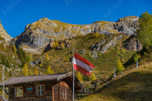 alpine pasture in tyrol with tyrolean flag photo