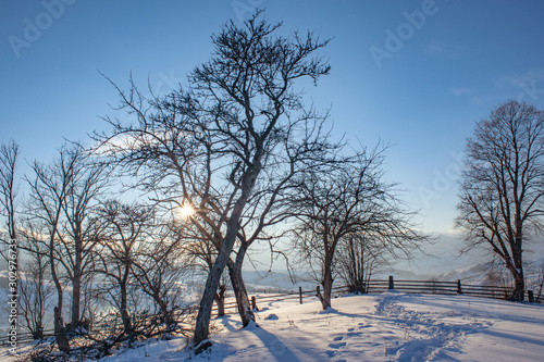 winter landscape. tree silhouette and mountain on horizon