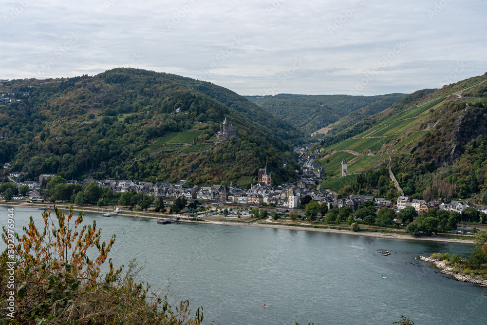 Fototapeta premium bacharach castle on rheinsteig with vineyards, germany