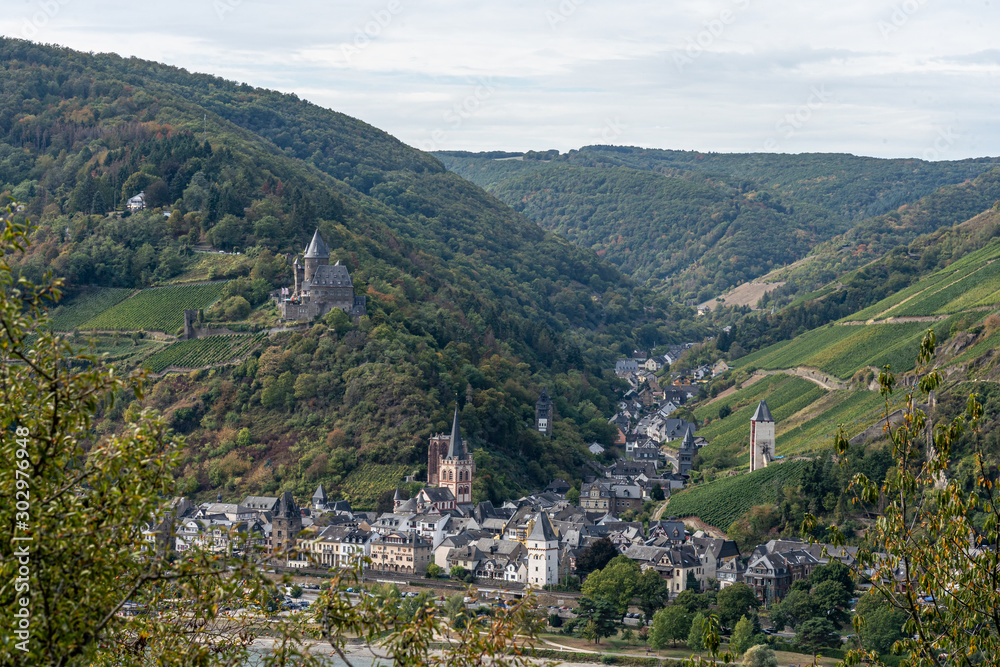 bacharach castle on rheinsteig with vineyards, germany bacharach castle on rheinsteig with vineyards, germany