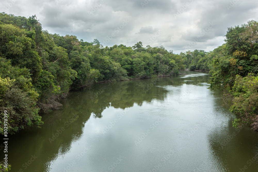 Beautiful view of Acara river with trees, rain and storm clouds in the Amazon rainforest, Concept of environment, global warming, climate change, ecology, biodiversity, conservation and travel. Beautiful view of Acara river with trees, rain and storm clouds in the Amazon rainforest, Concept of environment, global warming, climate change, ecology, biodiversity, conservation and travel.