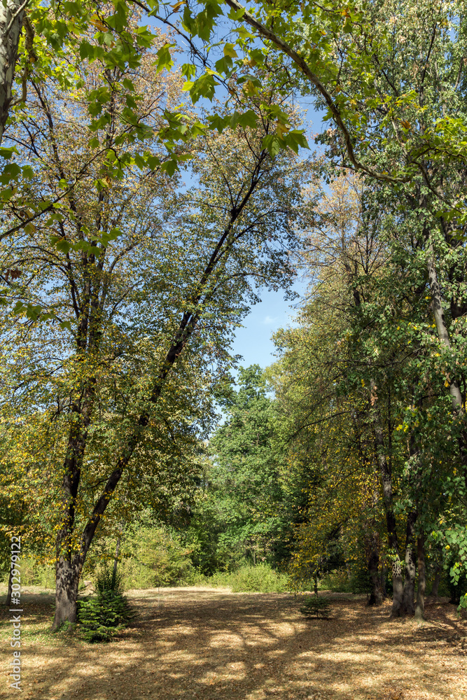 Everlasting forests at park Vrana - around former Royal Palace in city of Sofia
