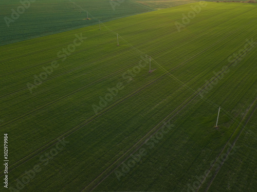 Power lines at green crop field  Lithuania  space for text.