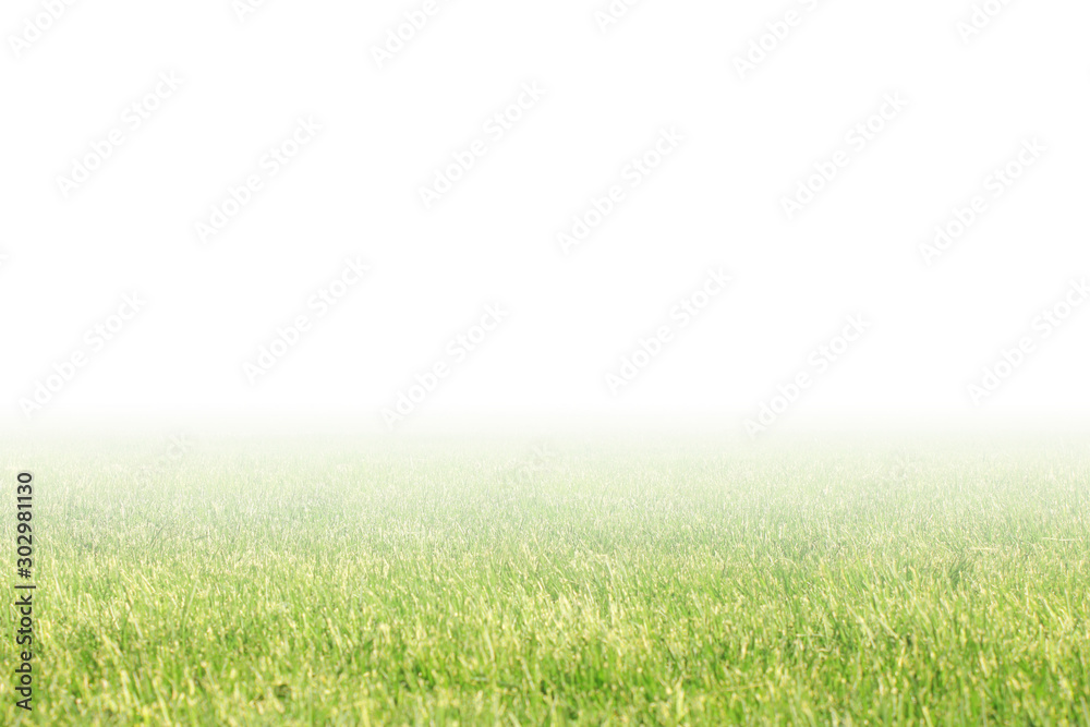 Green grass gradient banner with empty white copy space. Nature background, panoramic wide wallpaper. Park lawn wide template Green grass gradient banner with empty white copy space. Nature background, panoramic wide wallpaper. Park lawn wide template