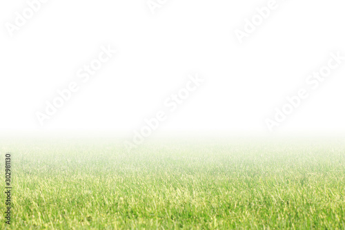 Green grass gradient banner with empty white copy space. Nature background, panoramic wide wallpaper. Park lawn wide template 