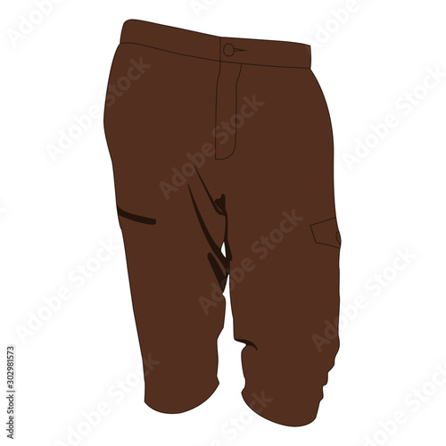 Cargo shorts brown realistic vector illustration isolated