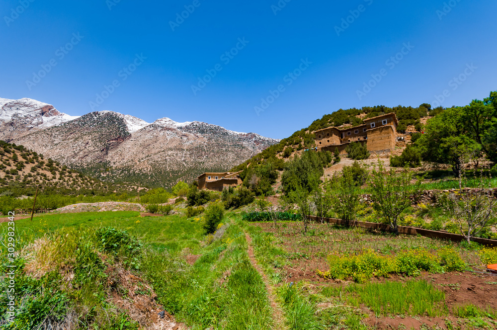 Agriculture in high mountain of the Aït Bouguemez valley in Morocco