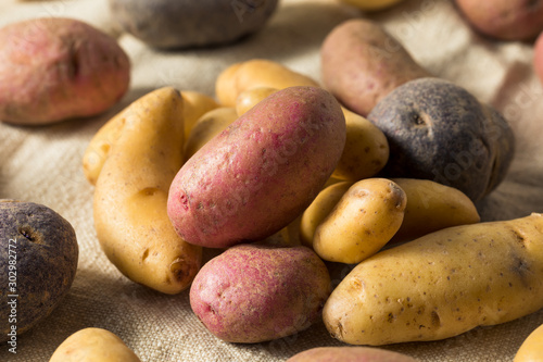 Raw Organic Fingerling Potatoes