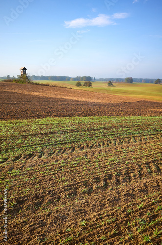 Autumnal farmland landscape in warm morning sunlight