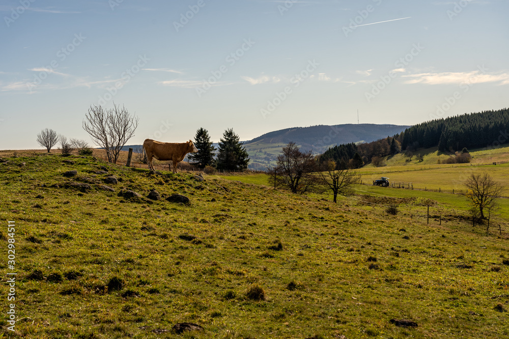 Obraz premium medows on wasserkuppe peak plateau in rhoen, hesse germany