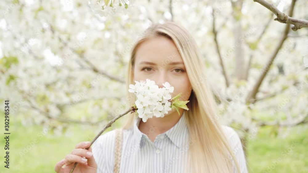 A beautiful blonde with branch of blooming cherry follows the camera in spring garden. trees with white flowers on a background. The concept of spring. Slow motion portrait A beautiful blonde with branch of blooming cherry follows the camera in spring garden. trees with white flowers on a background. The concept of spring. Slow motion portrait