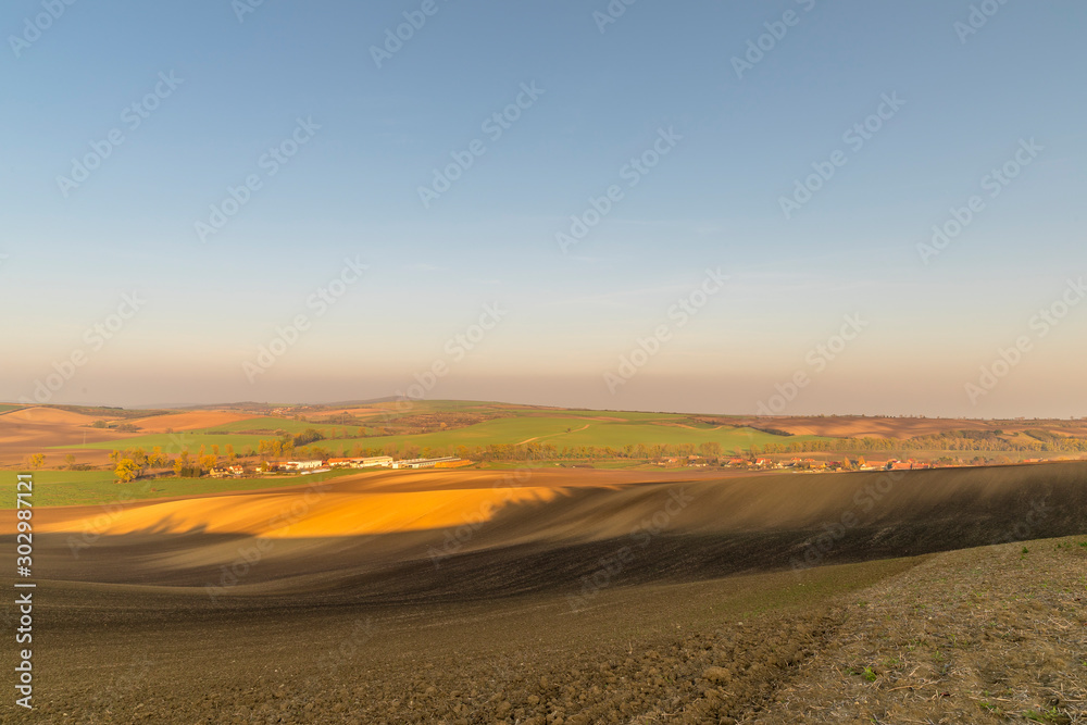 Landscape of South Moravia region known for growing vines captured farms and fields during a sunny day in autumn in the fields moving animals and a gentle blue sky without clouds.