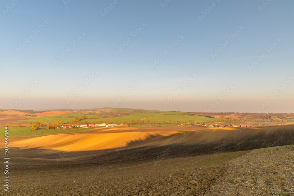 Fototapeta premium Landscape of South Moravia region known for growing vines captured farms and fields during a sunny day in autumn in the fields moving animals and a gentle blue sky without clouds.