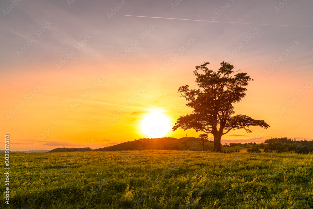 Abandoned tree when sun rays pass through the center of the trunk and orange clouds staying at sunset overlooking the countryside and hay on the edge of captured in Beskids nature