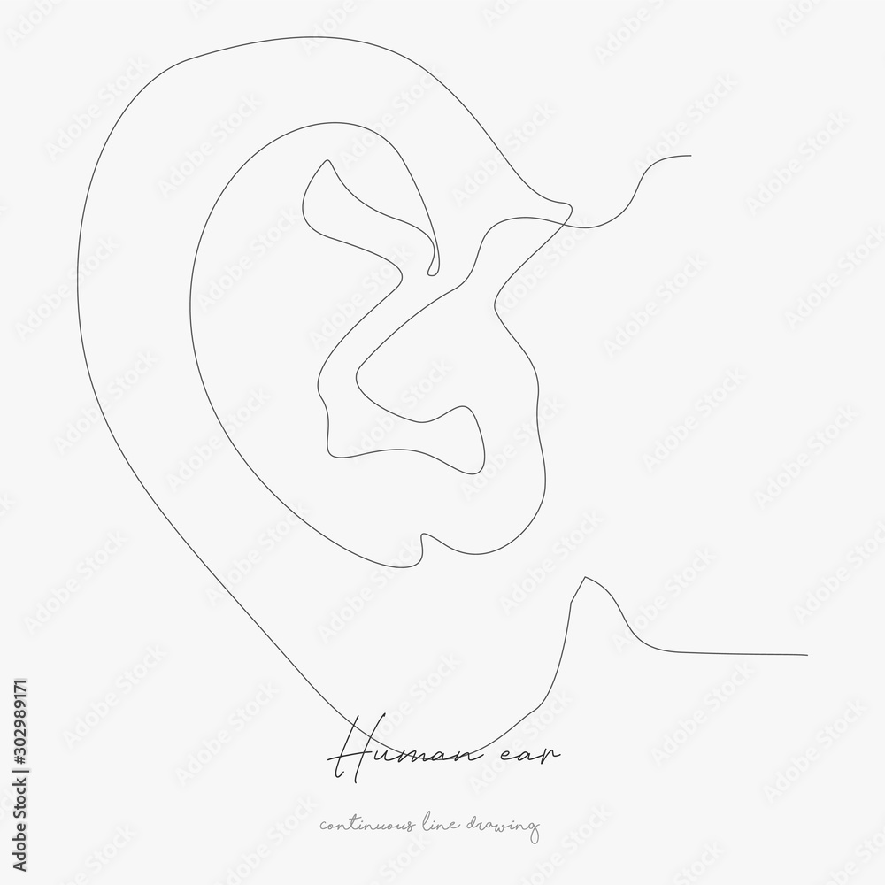 Obraz premium continuous line drawing. human ear. simple vector illustration. human ear concept hand drawing sketch line.