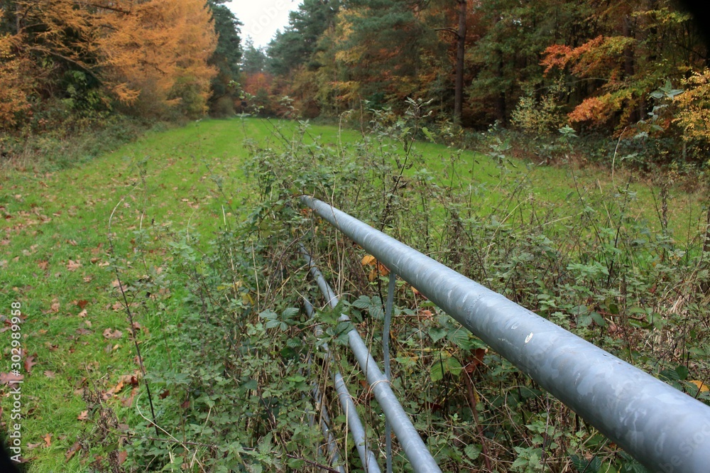 Fototapeta premium Das eiserne Tor