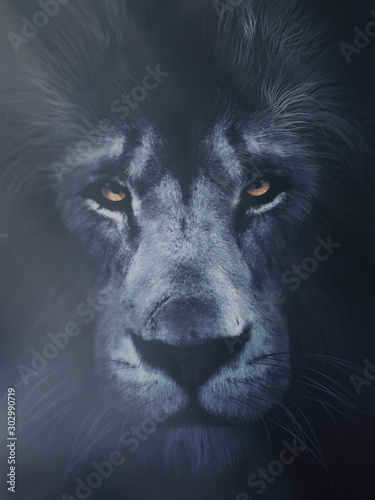 gray lion
