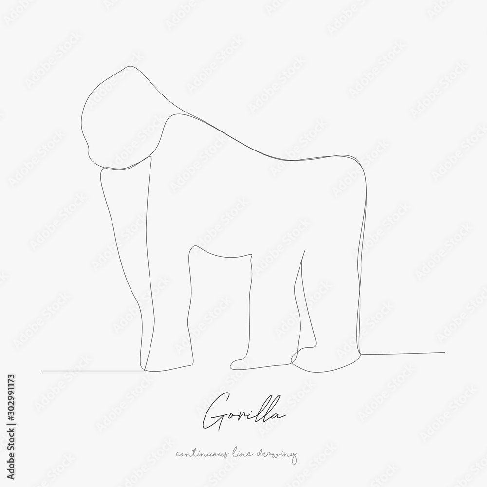 continuous line drawing. gorilla. simple vector illustration. gorilla concept hand drawing sketch line. continuous line drawing. gorilla. simple vector illustration. gorilla concept hand drawing sketch line.