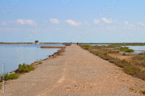 Wallpaper Mural Paseo de las Salinas, San Pedro del Pinatar, España Torontodigital.ca