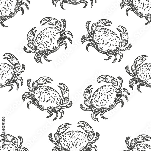 Vector hand drawn seamless pattern of crabs in the engraving style on white background.