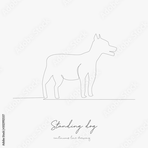 continuous line drawing. standing dog. simple vector illustration. standing dog concept hand drawing sketch line.