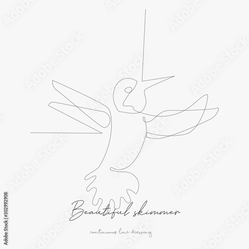 continuous line drawing. beautiful skimmer bird flying. simple vector illustration. beautiful skimmer bird flying concept hand drawing sketch line.