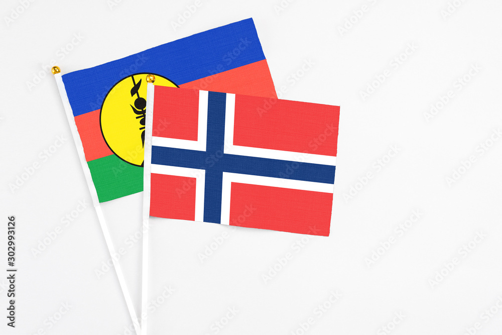 Norway and New Caledonia stick flags on white background. High quality fabric, miniature national flag. Peaceful global concept.White floor for copy space.