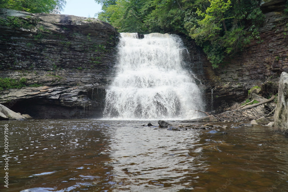 Obraz premium Swallow Falls Maryland