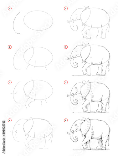 How to draw from nature step by step sketch of African elephant. Creation pencil drawing. Educational page for artists. School textbook for developing artistic skills. Hand-drawn vector image.