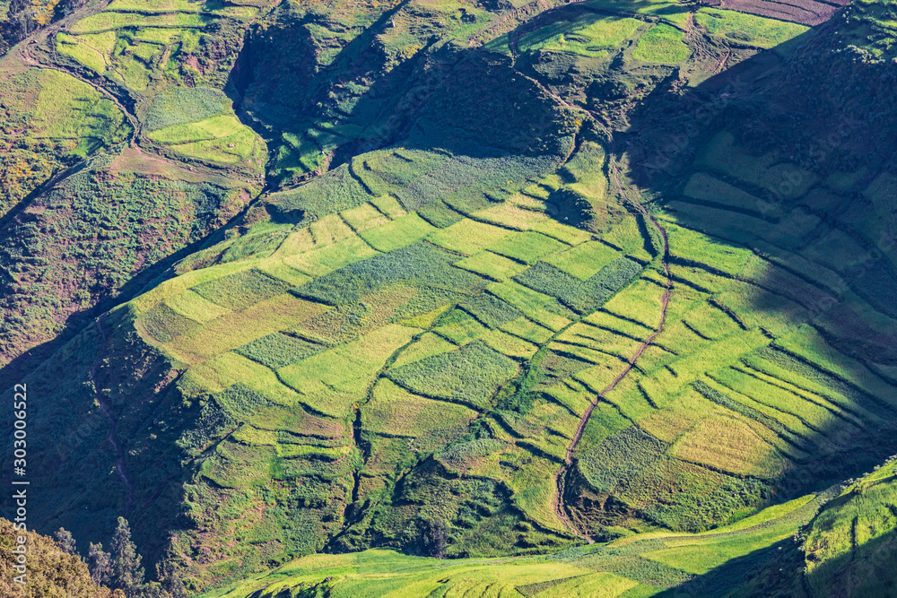 Fototapeta premium Farm fields in the Ethiopian highlands