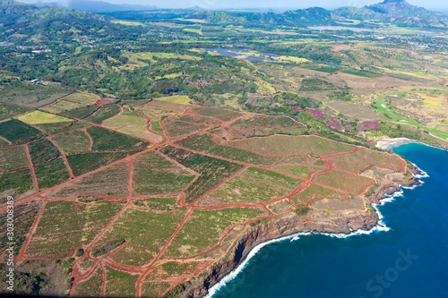 Aerial view of Kauai south coast showing coffee plantations near Poipu Kauai Hawaii USA photo