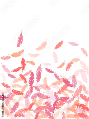 Fluffy twirled feathers on white design.