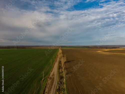 rural road in the field on a sunny autumn day © Nikolay