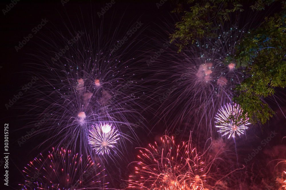 Beautiful firework lights above the trees at night. Beautiful firework lights above the trees at night.