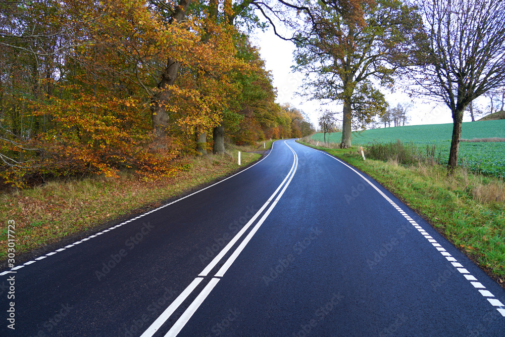 Fototapeta premium Asphalt road in a autumn nature colors . ( Mulkholmvej - Holbaek / Denmark ) 