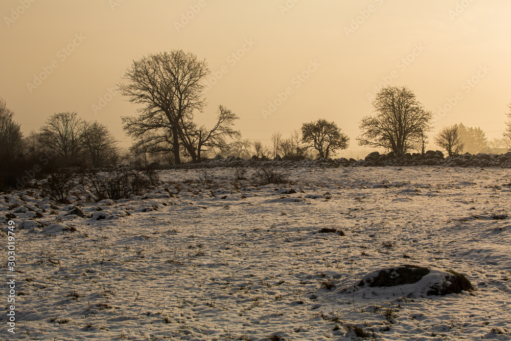 Winter morning with snow in a nature reserve