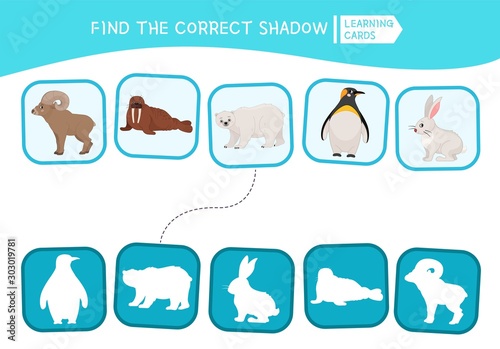 Educational  game for children. Find the right shadow. Kids activity with arctic animals