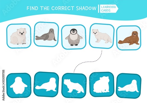 Educational  game for children. Find the right shadow. Kids activity with arctic animals