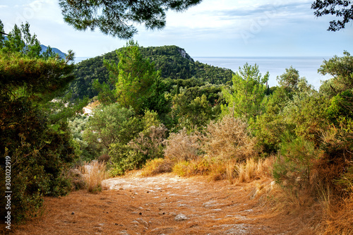 Donkey path to Lakones in Paleokastritsa, Corfu, Greece photo