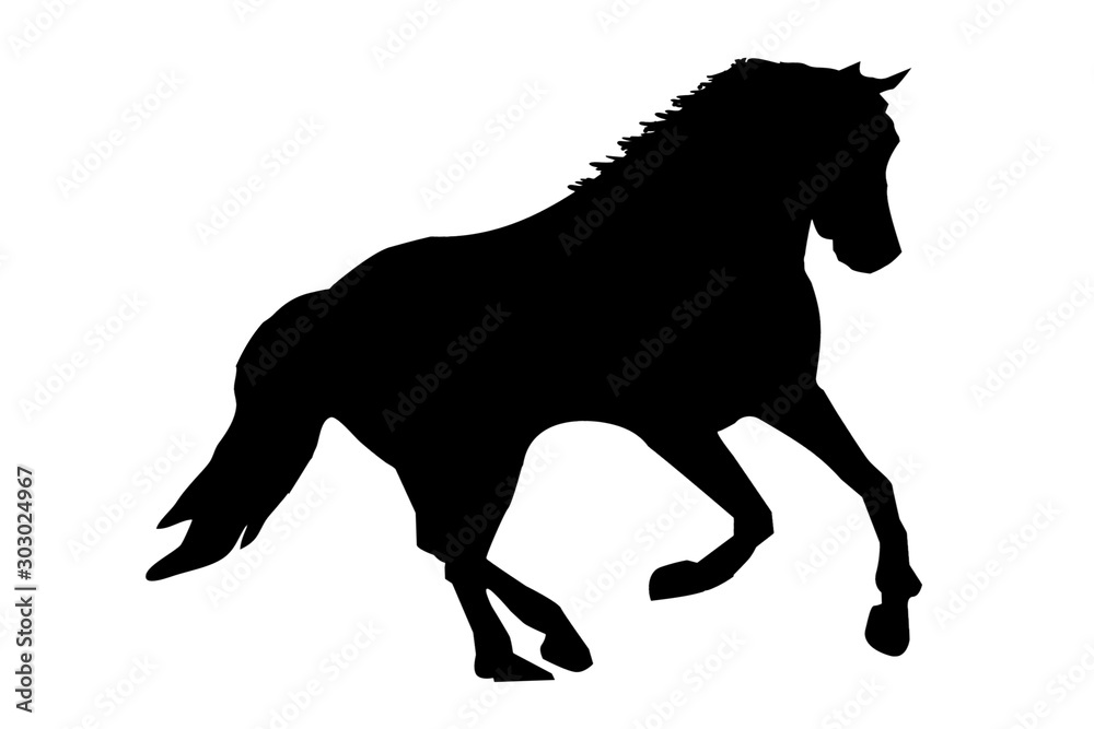 silhouette of a horse isolated on white background