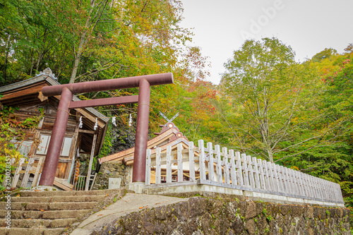 戸隠神社奥社　長野県戸隠　Togakushi Shrine　Nagano Togakushi photo