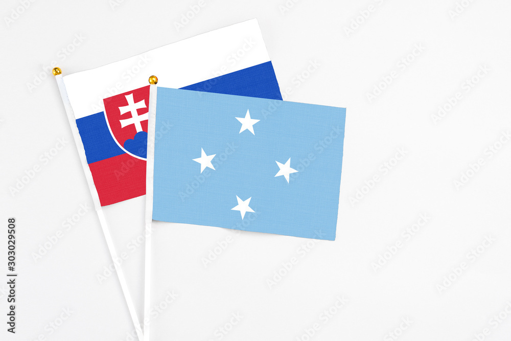 Micronesia and Slovakia stick flags on white background. High quality fabric, miniature national flag. Peaceful global concept.White floor for copy space. Micronesia and Slovakia stick flags on white background. High quality fabric, miniature national flag. Peaceful global concept.White floor for copy space.