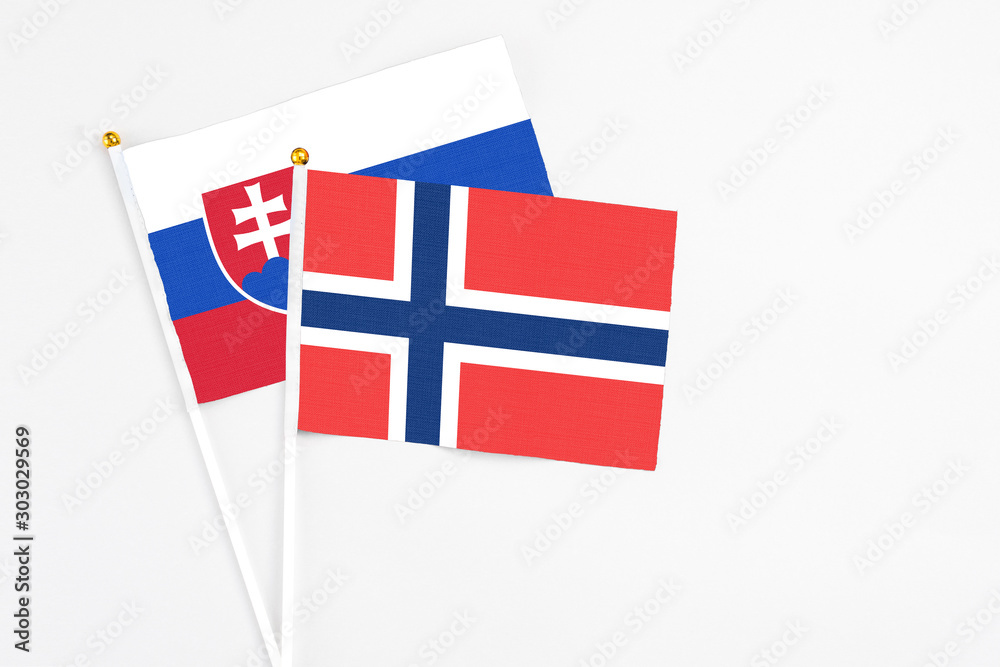 Norway and Slovakia stick flags on white background. High quality fabric, miniature national flag. Peaceful global concept.White floor for copy space.