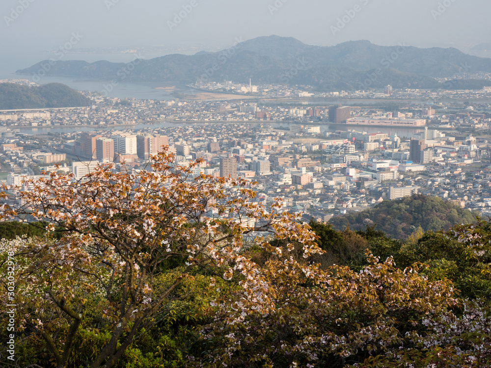 Tokushima, Japan - April 4, 2018: Panoramic view of Tokushima city from the top of Mount Bizan at sunset with cherry trees blooming