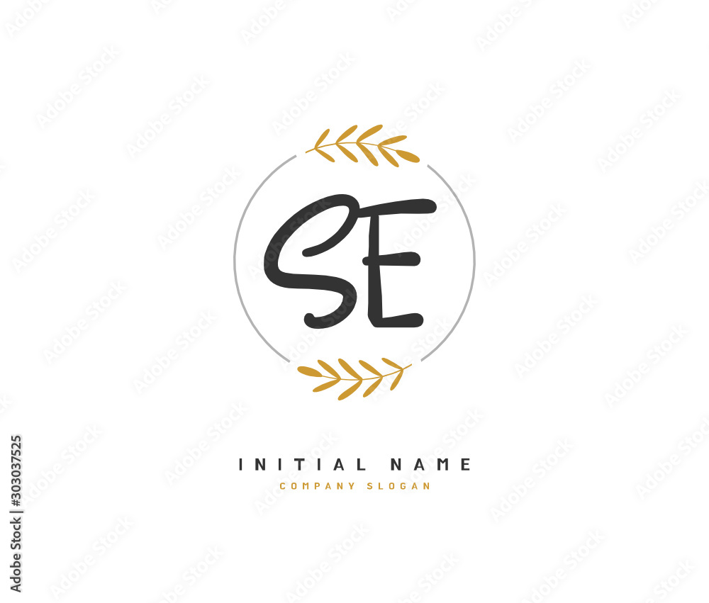 Obraz premium S D SD Beauty vector initial logo, handwriting logo of initial signature, wedding, fashion, jewerly, boutique, floral and botanical with creative template for any company or business.