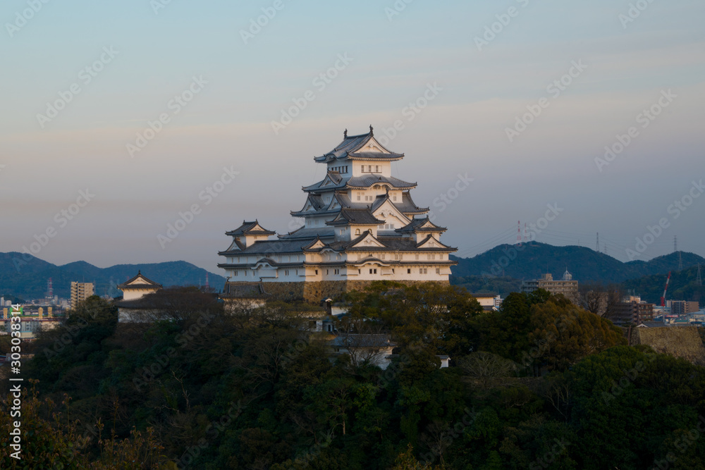 Himeji castle wiith cherry blossom