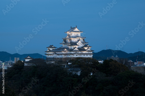 Himeji castle wiith cherry blossom