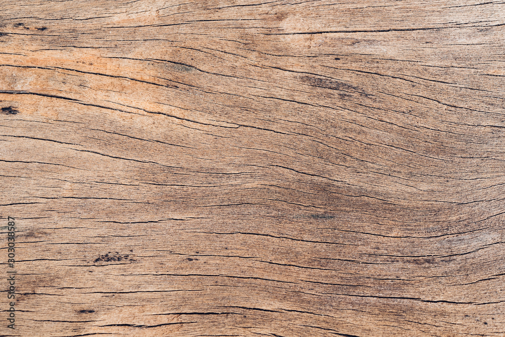 Fototapeta premium Old wood board