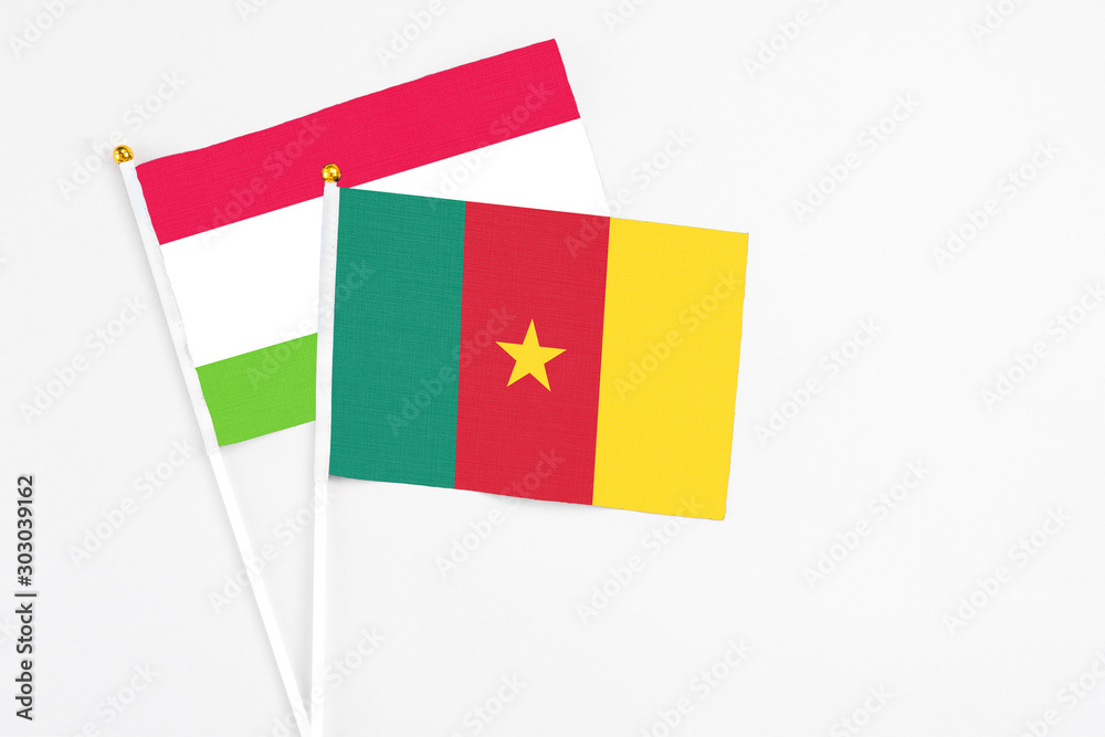 Cameroon and Tajikistan stick flags on white background. High quality fabric, miniature national flag. Peaceful global concept.White floor for copy space. Cameroon and Tajikistan stick flags on white background. High quality fabric, miniature national flag. Peaceful global concept.White floor for copy space.