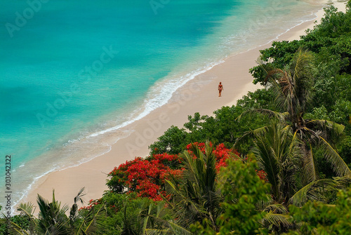 Aerial view of bikini-clad woman walking away from camera along a pristine white sand beach, between azure sea and tropical rainforest with red blooming tree, Padang-Padang, Bali, Indonesia